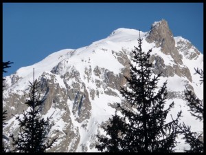 P1020355
